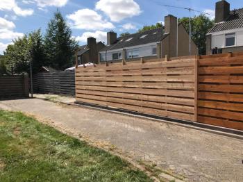 Lariks Douglas Schutting geplaatst in Stadskanaal