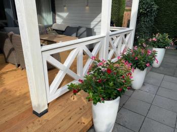 Douglas overkapping in Amersfoort met lichtstraat balustradeen vlonder