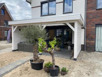 Overkapping van Douglas met een lichtstraat in Huizen.